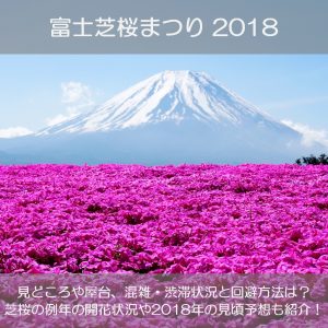 富士芝桜まつり2018の見頃や見どころは？混雑や渋滞の状況と回避方法も紹介！