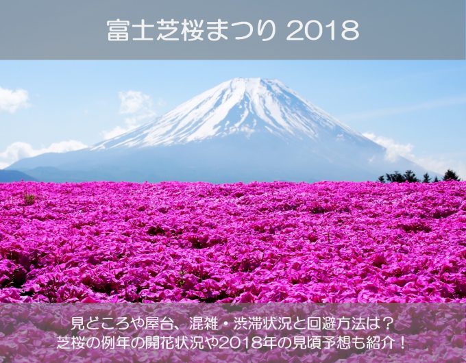 富士芝桜まつり2018の見頃や見どころは?混雑や渋滞の状況と回避方法も紹介!