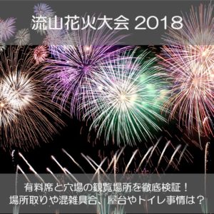 流山花火大会2018の穴場と有料席を検証！屋台の場所や打ち上げ場所はどこ？