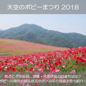 天空のポピーまつり2018の見頃や見どころは？渋滞を回避するアクセス方法とは？